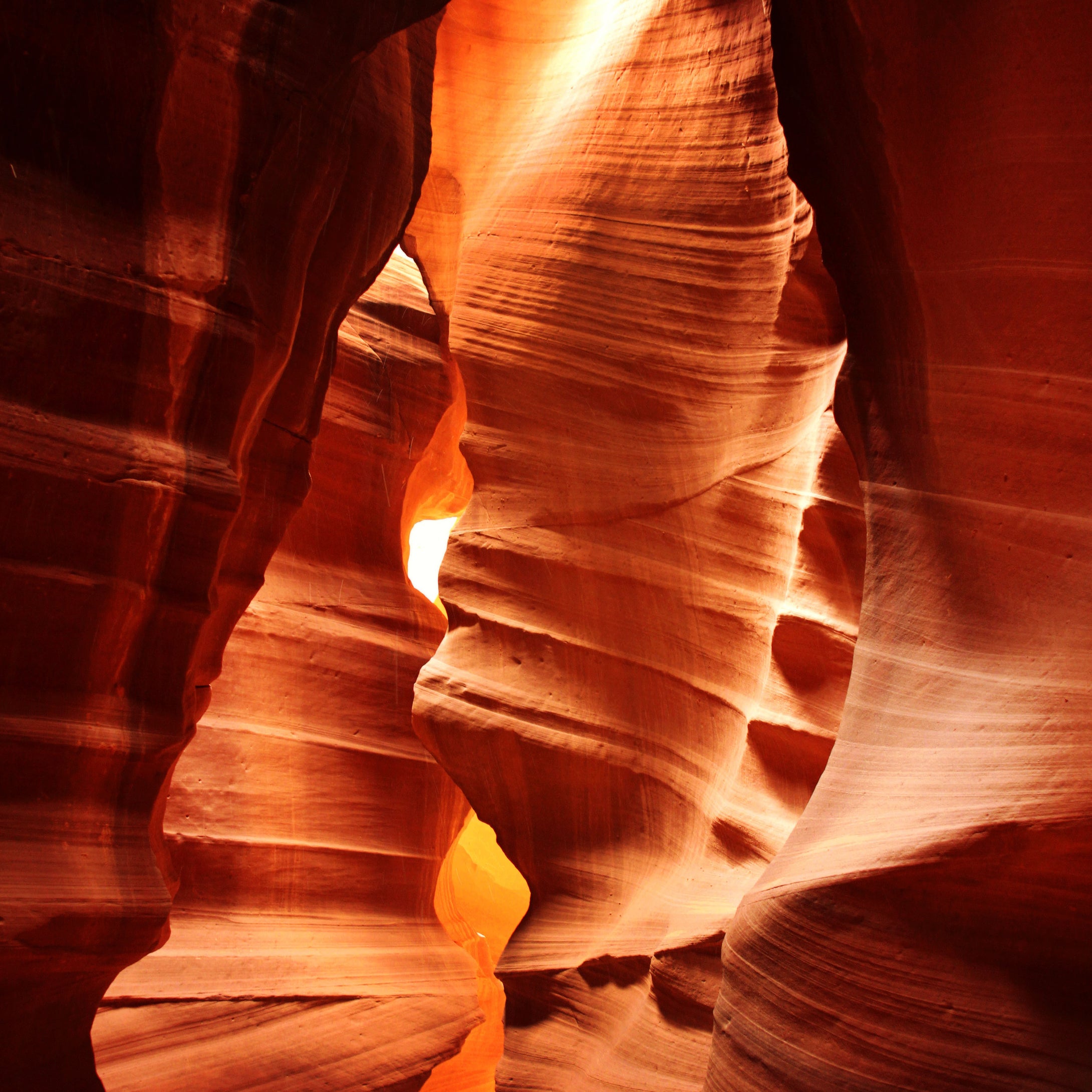 Antelope Light Squared