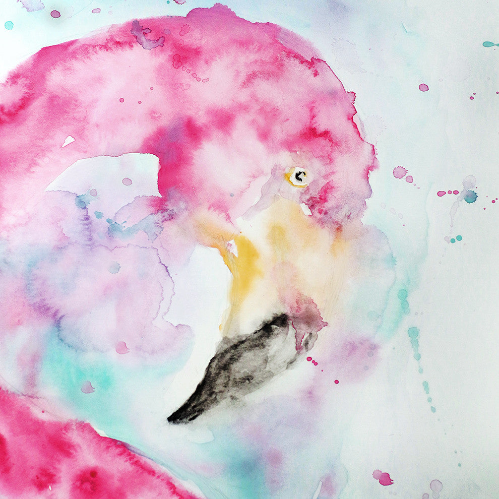 Flamingo
