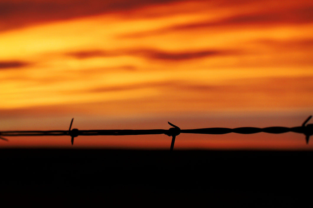 Sunrise Fence